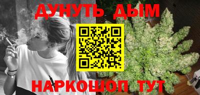 мяу мяу мука Ачхой-Мартан