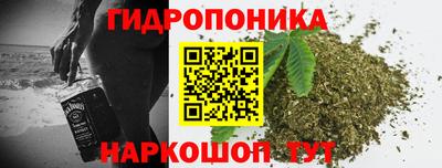 эйфоретик Аша