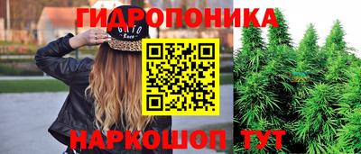 мяу мяу мука Ачхой-Мартан