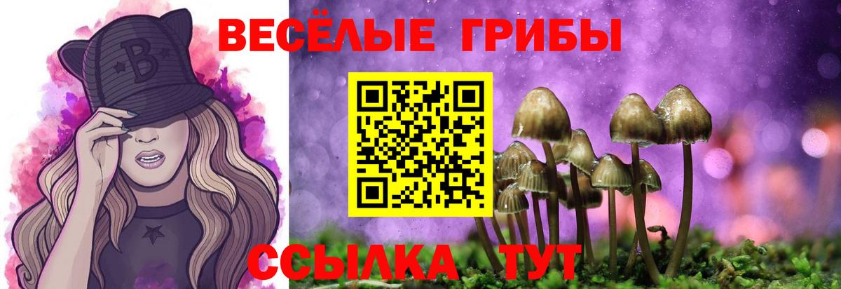 Псилоцибиновые грибы Magic Shrooms Туапсе
